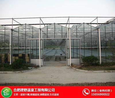 合肥建野温室工程 玻璃温室的现代设计与实用指南