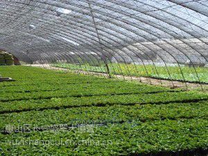 玻璃温室卷膜器选型指南 韩式侧卷、蜗轮与手动万向节卷膜器的供应与价格解析