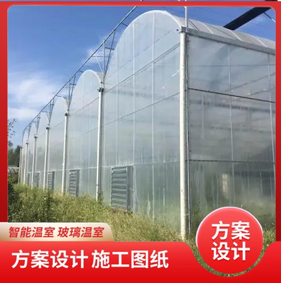 专业葡萄连栋薄膜大棚与蔬菜瓜果钢架避雨大棚选购指南