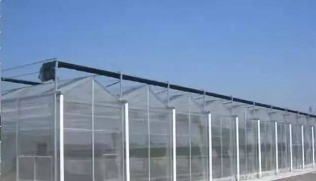 玻璃温室建设应掌握的几个技术要点