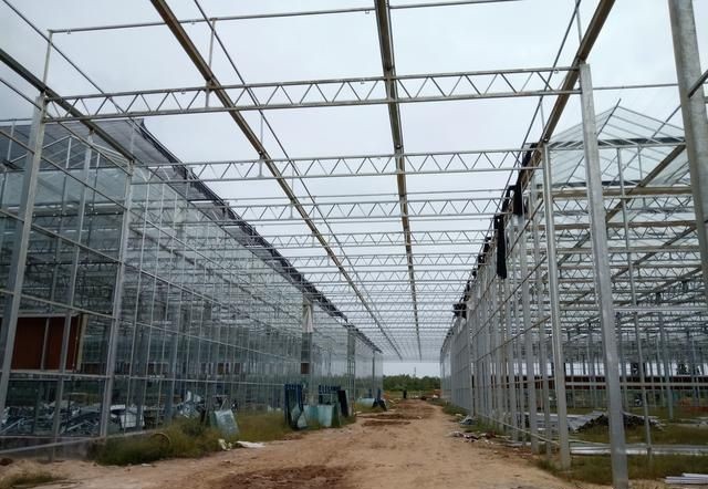 玻璃温室建设指南 打造高效现代农业的基石