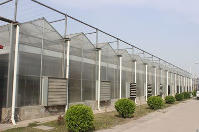 河南温室建造者与大家一块分析阳光板与玻璃温室的不同
