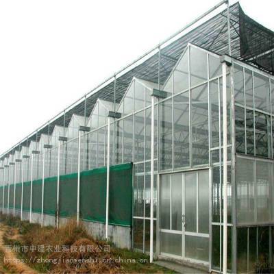 玻璃温室工程与蔬菜大棚建设 现代化农业的理想选择
