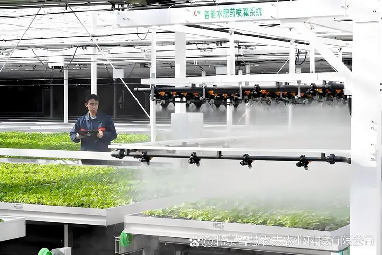 智慧农业新标杆 探秘北京智慧农夫智能玻璃温室与工厂化育苗体系