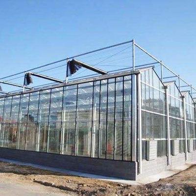 中阳中阳温室玻璃大棚连栋大棚温室大棚连栋温室大棚厂家定制