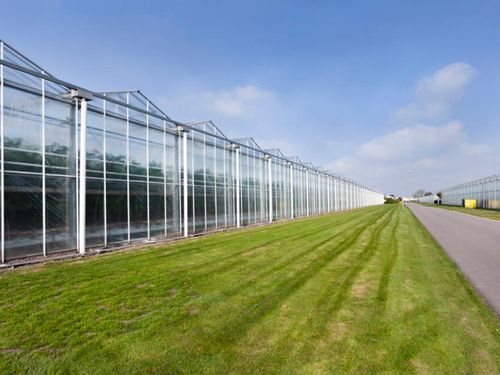 玻璃温室市场价格-湖南玻璃温室报价-湖南玻璃温室搭建