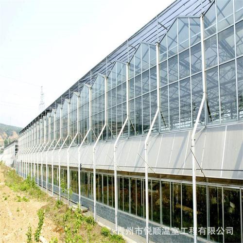 加工定制玻璃温室 农业花卉养殖大棚 智能蔬菜暖棚 日光玻璃温室